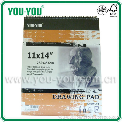Drawing Pad, 11*14 Inch, 30 Sheets, 120 GSM (DW14-30-120)